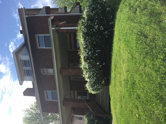 52 Sexton Street - 2